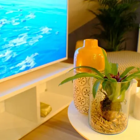 Cosy Coty F4 Confortable Et Moderne Apartman